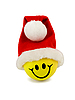 ID 3063960 | Smiley w santa kapelusz | Foto stockowe wysokiej rozdzielczości ID 3063960 | Smiley w santa kapelusz | Foto stockowe wysokiej rozdzielczości | KLIPARTO