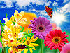 ID 3120977 | Gerbera kwiaty i motyle | Foto stockowe wysokiej rozdzielczości ID 3120977 | Gerbera kwiaty i motyle | Foto stockowe wysokiej rozdzielczości | KLIPARTO