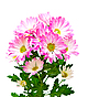 ID 3187476 | Dahlia kwiaty | Foto stockowe wysokiej rozdzielczości ID 3187476 | Dahlia kwiaty | Foto stockowe wysokiej rozdzielczości | KLIPARTO