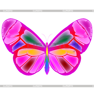 Free Vector  Backgrounds on Pink Butterfly   Stock Vector Graphics   Id 3002833