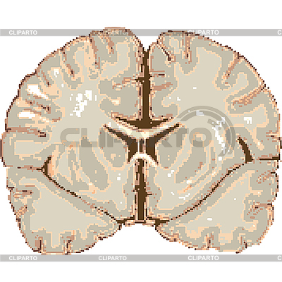 human brain clipart. pixelated human brain isolated