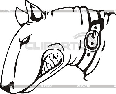 Bull Tattoos on White Vector Image Of Bull Terrier Tattoo With A Collar      Varts