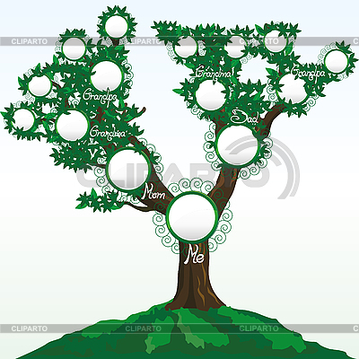 Генеалогическое дерево рисунок
