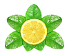Lemon Obst auf grünes Blatt mit Tau | Stock Foto