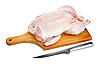 ID 3112930 | Rohes Huhn | Foto mit hoher Auflösung ID 3112930 | Rohes Huhn | Foto mit hoher Auflösung | CLIPARTO