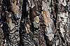 Old wooden texture | Stock Foto