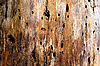 Old wooden texture | Stock Foto