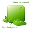 Vector clipart: Green square frame with leaves