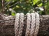 ID 3072569 | Seil | Foto mit hoher Auflösung ID 3072569 | Seil | Foto mit hoher Auflösung | CLIPARTO