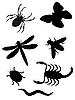 Vector clipart: silhouettes of beetles and insects