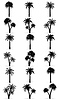Vector clipart: palm tree black outline silhouette