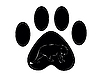 Vector clipart: paw of panther