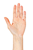 Mano de la mujer `s | Foto de stock