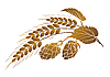 Vector clipart: Hops and wheat