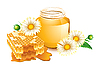 Vector clipart: camomiles honey