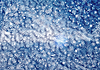 Christmas background of snowflakes | Stock Illustration