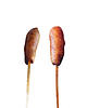 Photo 300 DPI: Corn Dog