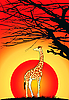 Vector clipart: giraffe at sunset