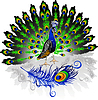Vector clipart: peacock