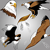 ID 3370573 | Adler | Stock Vektorgrafik ID 3370573 | Adler | Stock Vektorgrafik | CLIPARTO