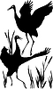 Vector clipart: dancing cranes