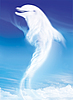 ID 3150243 | Dolphin | High resolution stock photo ID 3150243 | Dolphin | High resolution stock photo | CLIPARTO