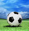 ID 3371458 | 녹색 잔디에 축구 공 | 높은 해상도 사진 ID 3371458 | 녹색 잔디에 축구 공 | 높은 해상도 사진 | CLIPARTO