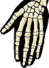 ID 3160751 | Menschliches Skelett. Hand | Stock Vektorgrafik ID 3160751 | Menschliches Skelett. Hand | Stock Vektorgrafik | CLIPARTO