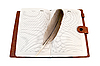 Notebook mit Federkiel | Stock Foto