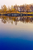 Весной лес река с отражением неба | Фото