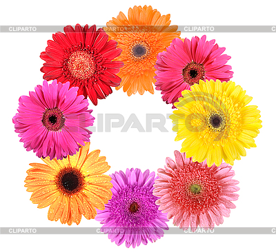 Rahmen als Ring aus Blumen | Foto mit hoher Auflösung |ID 3032941