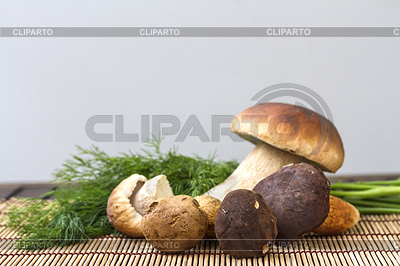 Stillleben mit weißen Pilze. Zutaten für | Foto mit hoher Auflösung |ID 5830808