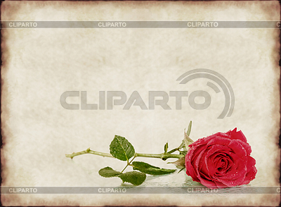 Vintage background with old paper and rose | High resolution stock photo |ID 5830824