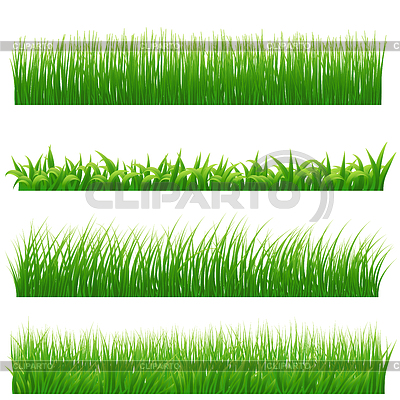 Fronteras de la hierba verde Conjunto | Ilustración vectorial de stock |ID 5617086