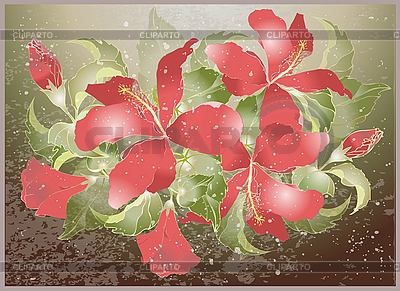 Tarjeta de felicitación con hibiscus | Ilustración vectorial de stock |ID 3060979