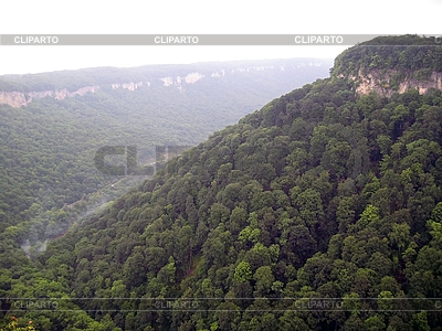Green forest on the rocks | High resolution stock photo |ID 3058496