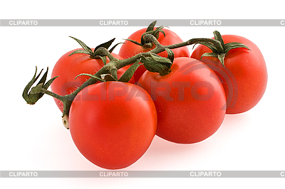 Zweig von Tomaten | Foto mit hoher Auflösung |ID 3067342