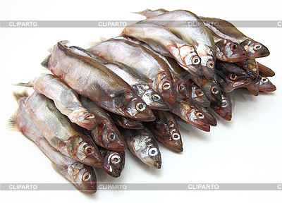 Espadines frescos de pescado | Foto de alta resolución |ID 3101405