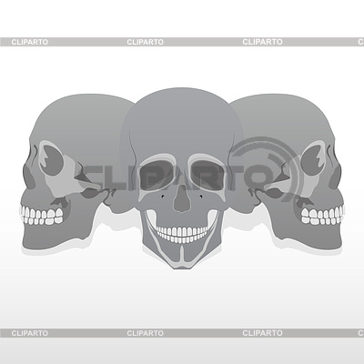 Cráneo | Ilustración vectorial de stock |ID 3362195