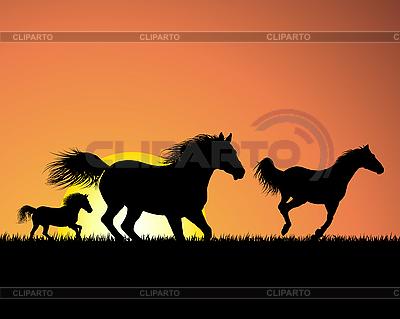 Caballo sobre fondo puesta del sol | Ilustración vectorial de stock |ID 3127641