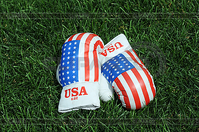 Boxing Gloves on the Grass  | High resolution stock photo |ID 3113188