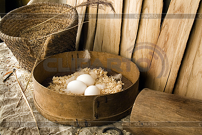 Eggs  | High resolution stock photo |ID 3110471