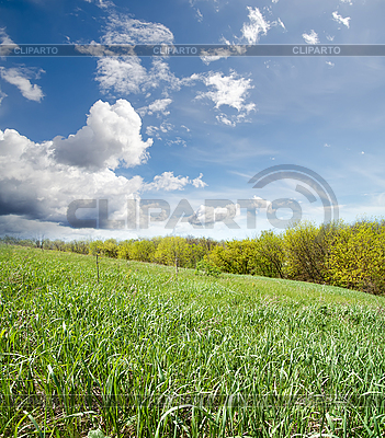 Hierba verde cerca de madera bajo el cielo nublado | Foto de alta resolución |ID 3091338