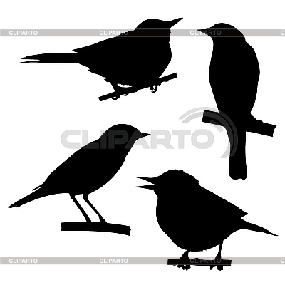 Siluetas de las aves que se sienta en rama de árbol | Ilustración vectorial de stock |ID 3115057