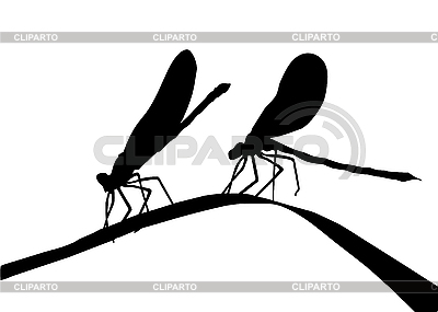 Silueta de dos libélulas en la hierba | Ilustración vectorial de stock |ID 3115099