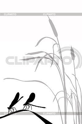 Silueta de dos libélulas en la hierba | Ilustración vectorial de stock |ID 3202675