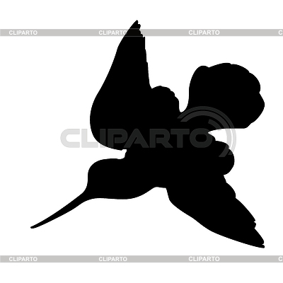 Woodcock silhouette | Stock Vector Graphics |ID 3220636