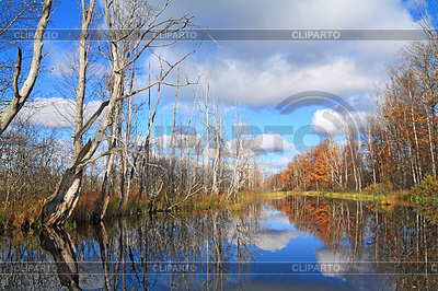 Autumn wood on coast river | High resolution stock photo |ID 3245359