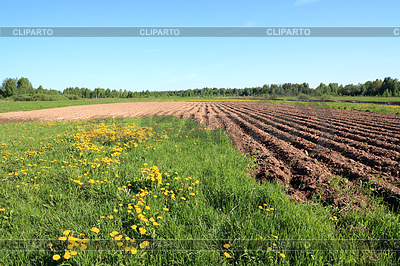 Arar el campo | Foto de alta resolución |ID 3254276
