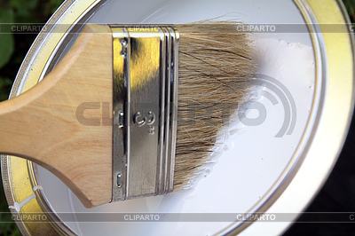 Cepille | Foto de alta resolución |ID 3255952